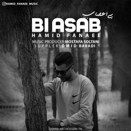 Hamid Fanaee   –   Biasab